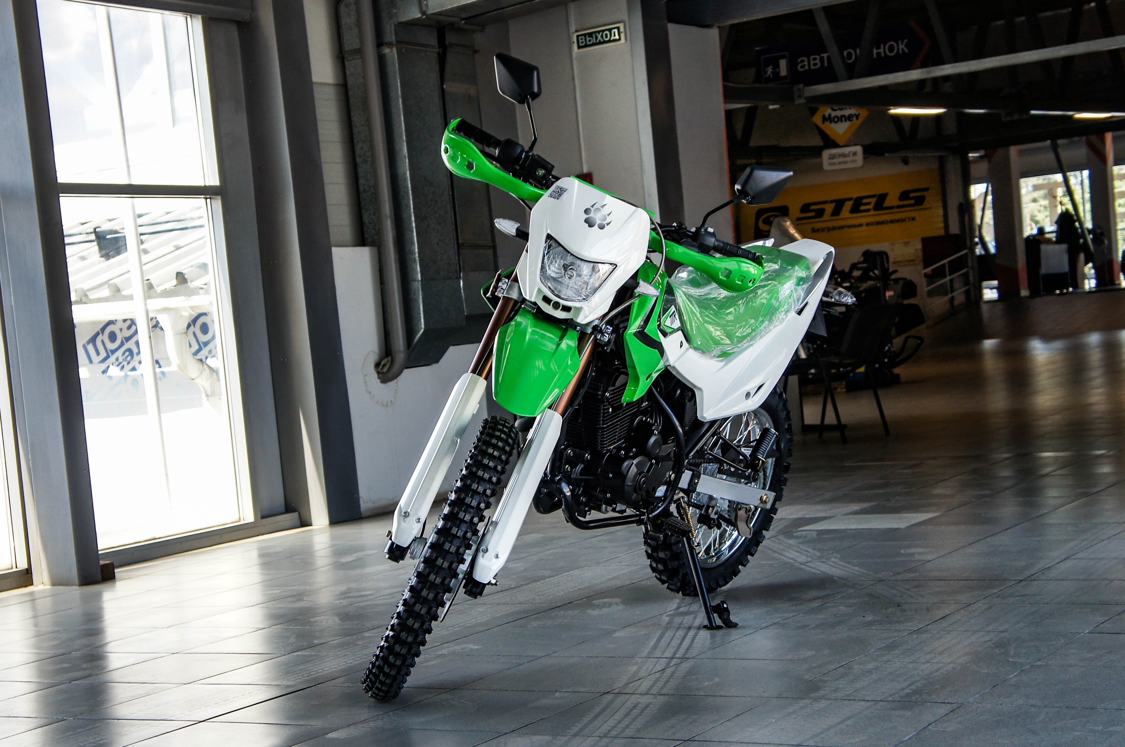 Irbis Ttr250r - изображение 4