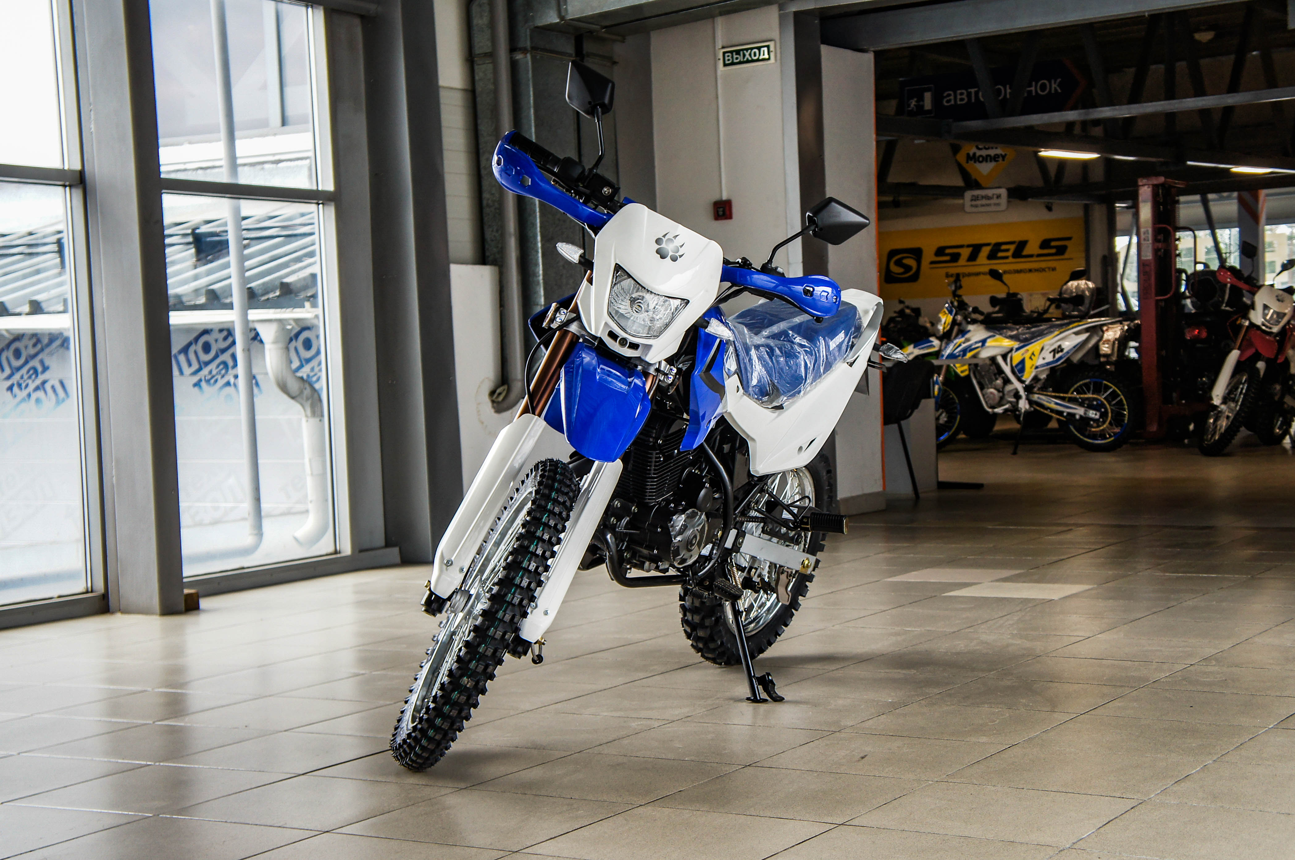 Irbis Ttr250r - изображение 4